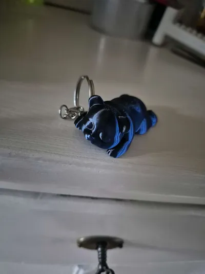 https://makerworld.bblmw.com/makerworld/model/1528753/1602988/ratings/97bc7420-9d50-11f0-80dc-773ef7cf6a49.jpg