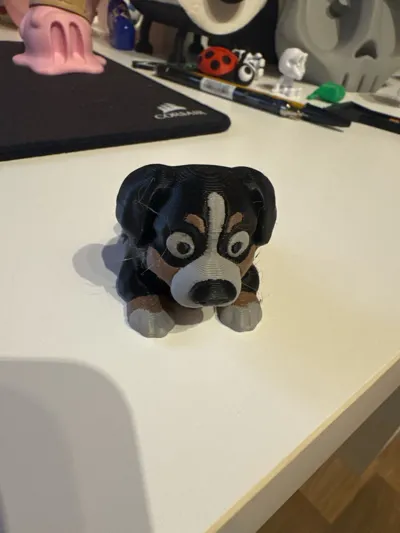 https://makerworld.bblmw.com/makerworld/model/1529063/1603337/ratings/88c1cfb0-a86d-11f0-8d5c-cfcab68f4573.jpg