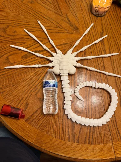 https://makerworld.bblmw.com/makerworld/model/1529308/1603622/ratings/bfbd2cc0-aca6-11f0-a248-89764e2910c3.jpg