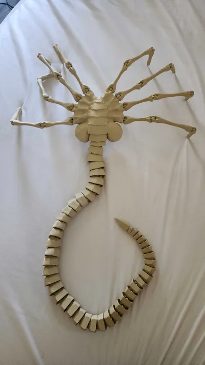 https://makerworld.bblmw.com/makerworld/model/1529308/1603622/ratings/ec9ab1b0-c301-11f0-9906-9f320d3e1b2f.jpg