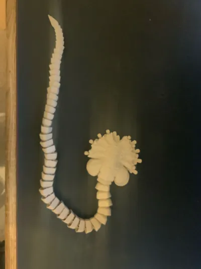 https://makerworld.bblmw.com/makerworld/model/1529323/1603638/ratings/88dc8be0-5956-11f0-ac24-a7049dd50f26.jpg
