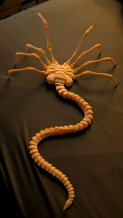 https://makerworld.bblmw.com/makerworld/model/1529323/1603638/ratings/f24ba0d0-aa9f-11f0-a5fe-af41070a72c6.jpg