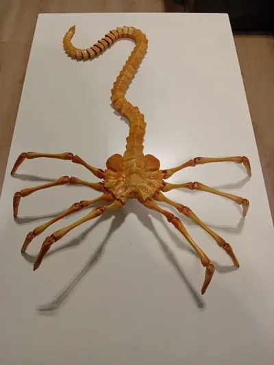 https://makerworld.bblmw.com/makerworld/model/1529323/1603638/ratings/fe5064f0-a500-11f0-bd80-6ddb6b74f21e.jpg
