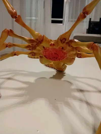 https://makerworld.bblmw.com/makerworld/model/1529323/1603638/ratings/fea848f0-a500-11f0-bd80-6ddb6b74f21e.jpg