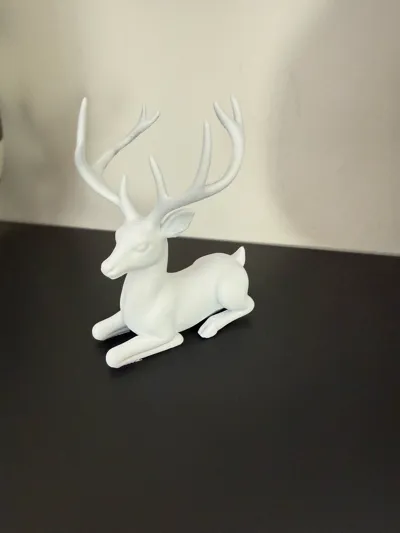 https://makerworld.bblmw.com/makerworld/model/1530147/1604542/ratings/7061aa90-bc80-11f0-805a-43e74e34f1b8.jpg