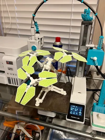 https://makerworld.bblmw.com/makerworld/model/1530931/1607300/ratings/58d29570-6063-11f0-ac88-fbbe5c663c08.jpg