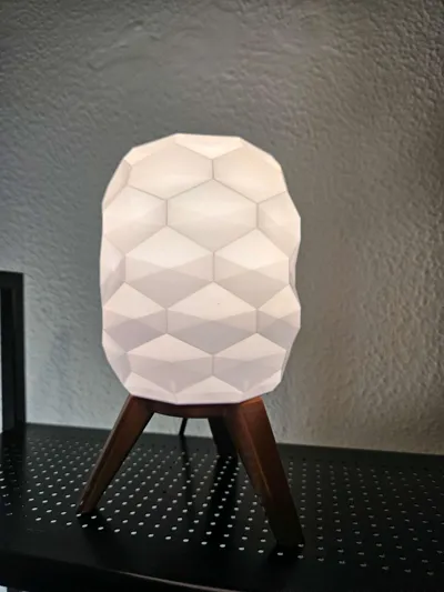 https://makerworld.bblmw.com/makerworld/model/1532481/1607267/ratings/1ee343f0-7ee0-11f0-98d3-81dd3462f1e3.jpg