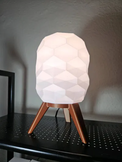 https://makerworld.bblmw.com/makerworld/model/1532481/1607267/ratings/1ee3e030-7ee0-11f0-98d3-81dd3462f1e3.jpg
