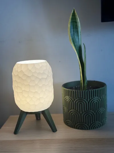 https://makerworld.bblmw.com/makerworld/model/1532481/1607267/ratings/1f94aa30-6795-11f0-8598-2fed9305c4fe.jpg