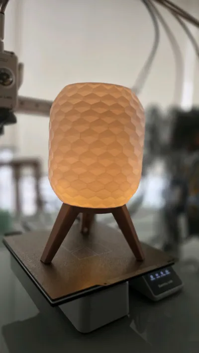 https://makerworld.bblmw.com/makerworld/model/1532481/1624455/ratings/995095e0-e513-11f0-a50b-a39837880b0d.jpg