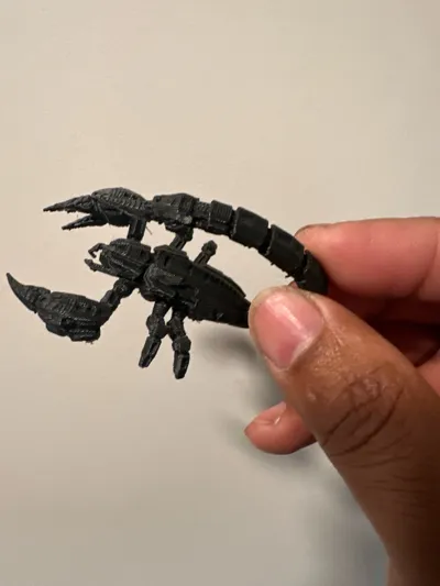 https://makerworld.bblmw.com/makerworld/model/1532701/1607515/ratings/0155ded0-4eb4-11f0-bc66-337591948b7e.jpg