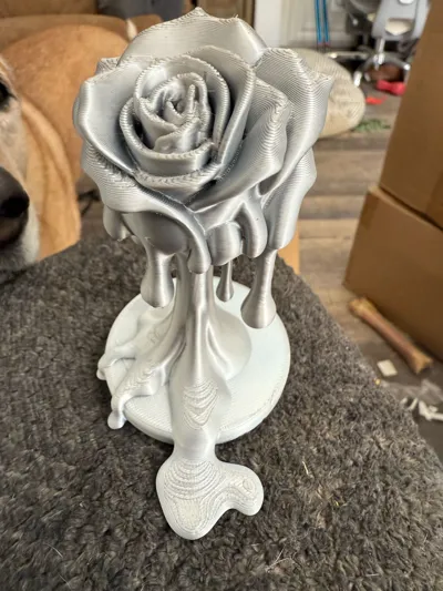 https://makerworld.bblmw.com/makerworld/model/1532712/1607538/ratings/8a3bcec0-4f87-11f0-aa66-9759f8ee47bc.jpg