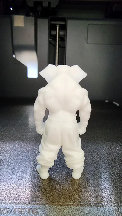 https://makerworld.bblmw.com/makerworld/model/1532803/1607624/ratings/de99bf10-5165-11f0-9041-b3cdce8034de.jpg