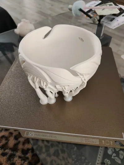 https://makerworld.bblmw.com/makerworld/model/1533100/1607915/ratings/c415f340-5438-11f0-a376-97fa07ae2f35.jpg