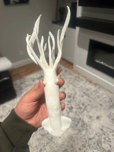 https://makerworld.bblmw.com/makerworld/model/1533715/1608623/ratings/9c9fca30-d4a7-11f0-97b3-f9a276d14e34.jpg