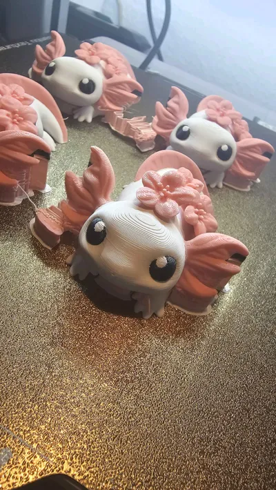 https://makerworld.bblmw.com/makerworld/model/1537998/1613718/ratings/cee2e8e0-bfd2-11f0-8225-29ef1b50f626.jpg