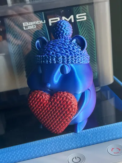 https://makerworld.bblmw.com/makerworld/model/153818/169143/ratings/e043c280-12d0-11f0-b049-9b40d0d4c80a.jpg