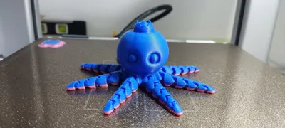 https://makerworld.bblmw.com/makerworld/model/1539608/1615621/ratings/2025-12-14_507c6694f1e4f.jpg
