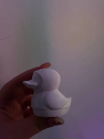 https://makerworld.bblmw.com/makerworld/model/1539664/1615681/ratings/f58bcfa0-da1e-11f0-ac18-3da0618c8445.jpg