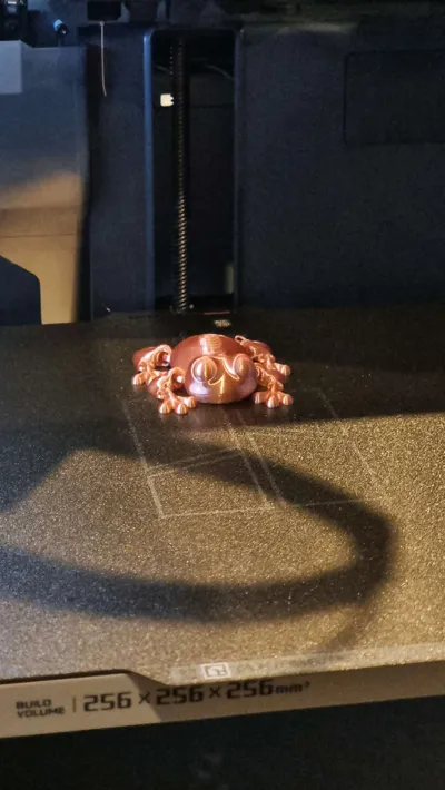 https://makerworld.bblmw.com/makerworld/model/1539938/1616038/ratings/24d3e290-62f9-11f0-951f-c14fb437923d.jpg
