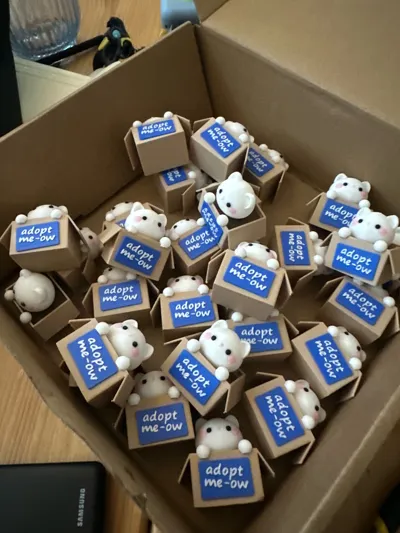 https://makerworld.bblmw.com/makerworld/model/1541318/1617831/ratings/c7f1cd00-8fc4-11f0-9075-9141fc1485a6.jpg