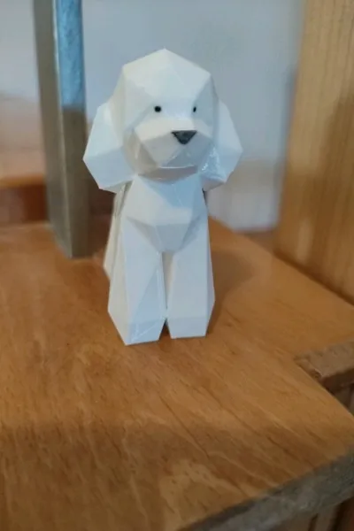 https://makerworld.bblmw.com/makerworld/model/1542836/1619472/ratings/73d2b120-5785-11f0-8acb-71f826f676c6.jpg