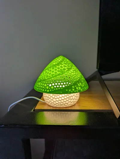 https://makerworld.bblmw.com/makerworld/model/1544480/1621496/ratings/d5f84600-6340-11f0-aa11-63f15289530d.jpg
