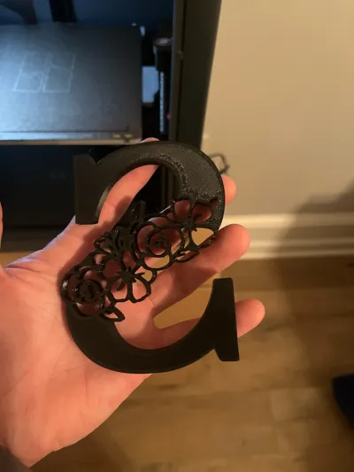 https://makerworld.bblmw.com/makerworld/model/1544632/1621717/ratings/d38eea30-e14f-11f0-98f4-49726dbbc5c3.jpg