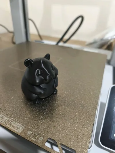 https://makerworld.bblmw.com/makerworld/model/1544893/1622010/ratings/2b55cb50-5a03-11f0-ab3f-f11d92c5345b.jpg