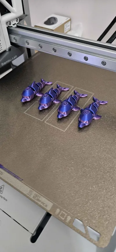 https://makerworld.bblmw.com/makerworld/model/1545758/1623056/ratings/142fd8d0-6750-11f0-be91-bd93dd96e394.jpg