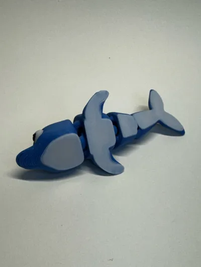https://makerworld.bblmw.com/makerworld/model/1545758/1623061/ratings/0100e410-6d8c-11f0-99f2-19d16212937b.jpg