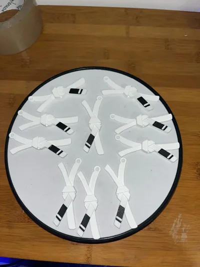 https://makerworld.bblmw.com/makerworld/model/154604/202620/ratings/26bcf810-a49b-11f0-83ab-b10c234dc834.jpg