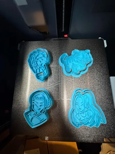 https://makerworld.bblmw.com/makerworld/model/1549966/1627820/ratings/b9415b40-f847-11f0-ba35-1db9b6f5ffca.jpg