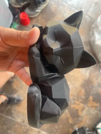 https://makerworld.bblmw.com/makerworld/model/1550276/1628158/ratings/0397a1f0-f7ac-11f0-b368-dfac98fd2869.jpg