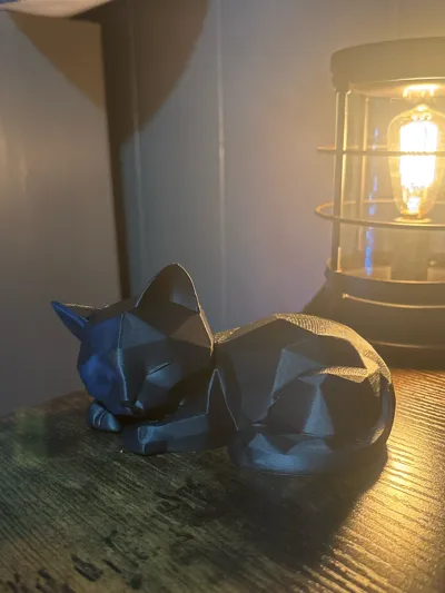 https://makerworld.bblmw.com/makerworld/model/1550276/1628158/ratings/0e7455d0-c1b2-11f0-8a64-5b51f48ebd64.jpg
