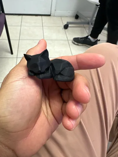 https://makerworld.bblmw.com/makerworld/model/1550276/1628158/ratings/24061790-5c30-11f0-bdf3-770bcb9a65b5.jpg