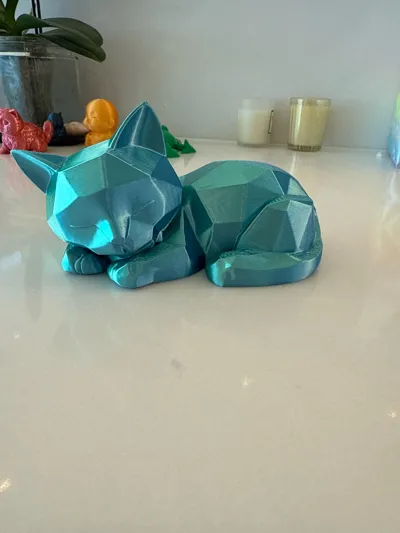 https://makerworld.bblmw.com/makerworld/model/1550276/1628158/ratings/452bac40-7950-11f0-88ad-3f48d805177e.jpg