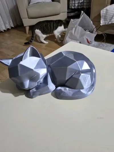 https://makerworld.bblmw.com/makerworld/model/1550276/1628158/ratings/b1100650-b766-11f0-98a3-dfb82dde0f10.jpg