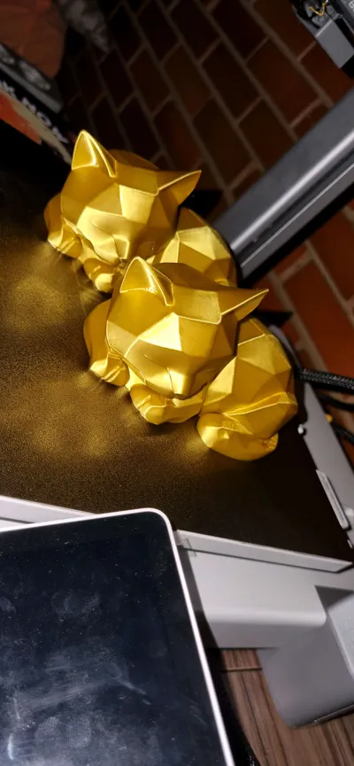 https://makerworld.bblmw.com/makerworld/model/1550276/1628158/ratings/b5607ac0-a2d8-11f0-ad12-bfe4f928fb92.jpg