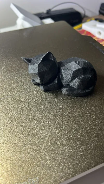 https://makerworld.bblmw.com/makerworld/model/1550276/1628158/ratings/fcc96be0-f7b7-11f0-8058-e1bb5628c83f.jpg