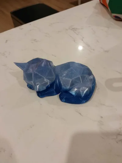 https://makerworld.bblmw.com/makerworld/model/1550276/1697351/ratings/101df970-dcd5-11f0-b19a-ff12ec343294.jpg