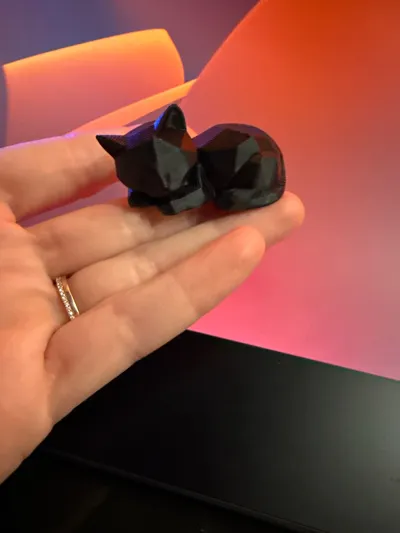 https://makerworld.bblmw.com/makerworld/model/1550276/1707252/ratings/238a09e0-b28c-11f0-9e55-b16fba4d431e.jpg
