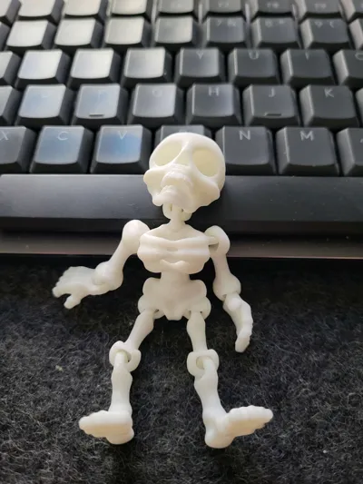 https://makerworld.bblmw.com/makerworld/model/1551063/1629064/ratings/fa735d20-5504-11f0-b70d-9787c0db5f71.jpg