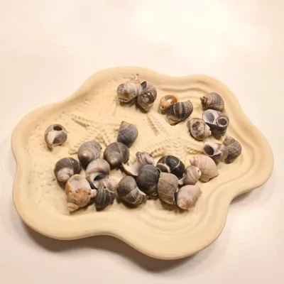 https://makerworld.bblmw.com/makerworld/model/1552836/2020780/ratings/2025-12-19_41fe80cdaa21d.jpg