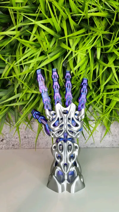 https://makerworld.bblmw.com/makerworld/model/1552893/1631200/ratings/ce691740-71ad-11f0-b53e-9f9d77bfcd5e.jpg