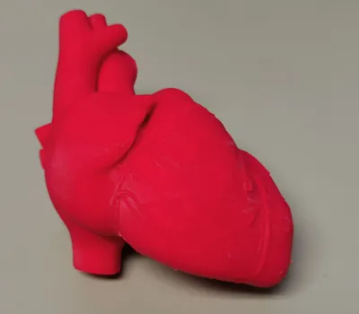 Human Heart by Luxe Creations - MakerWorld