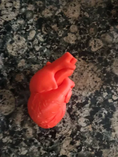 https://makerworld.bblmw.com/makerworld/model/155302/492347/ratings/d84e5de0-1737-11f0-8f2d-29408761f6fa.jpg