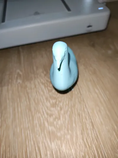 https://makerworld.bblmw.com/makerworld/model/1553099/1631438/ratings/36d26430-898c-11f0-bcac-87466db0bb36.jpg