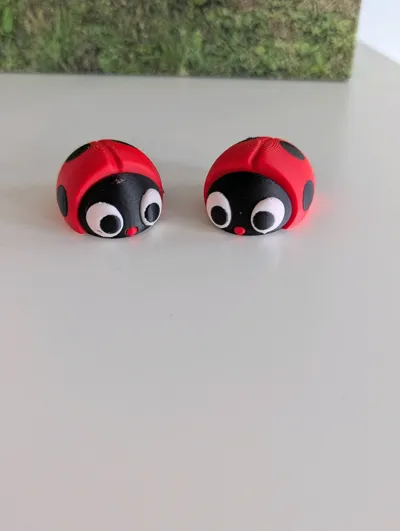https://makerworld.bblmw.com/makerworld/model/1555287/1634033/ratings/79d31ee0-5945-11f0-84cc-3d38e0aea631.jpg