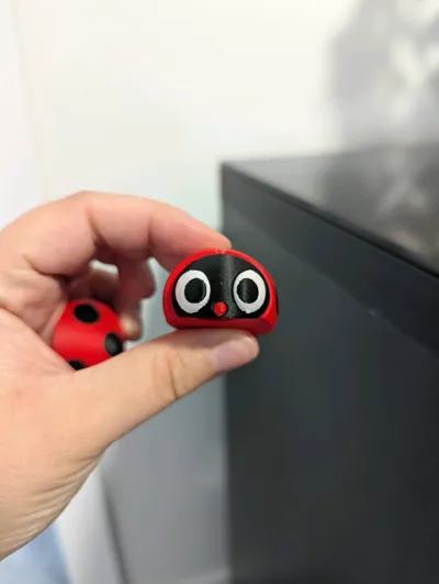 https://makerworld.bblmw.com/makerworld/model/1555287/1634033/ratings/79d73d90-5945-11f0-84cc-3d38e0aea631.jpg